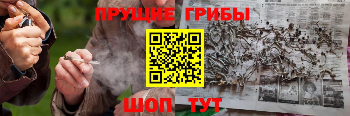 Галлюциногенные грибы прущие грибы  Галлюциногенные грибы Magic Shrooms  Вход с VPN  Зеленогорск 
